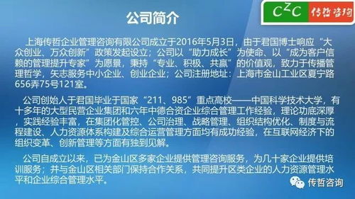 傳哲咨詢服務(wù)企業(yè)項(xiàng)目2018版 精準(zhǔn)策劃，驅(qū)動(dòng)未來(lái)
